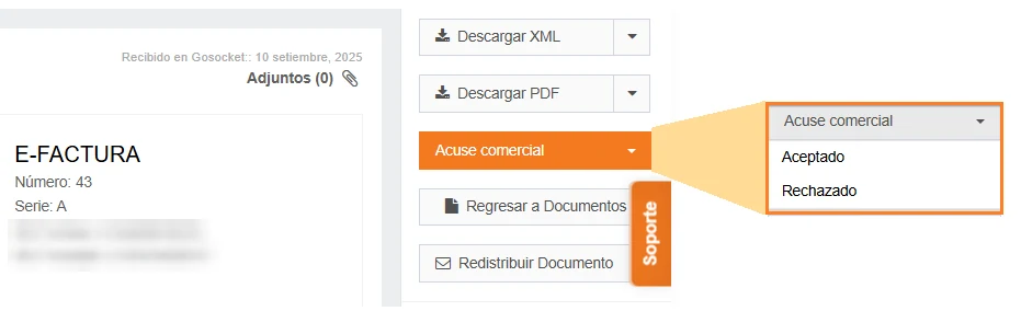 Recepción (MS)
