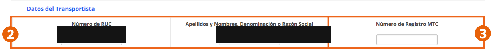 Sección Datos del Transportista con RUC y razón social