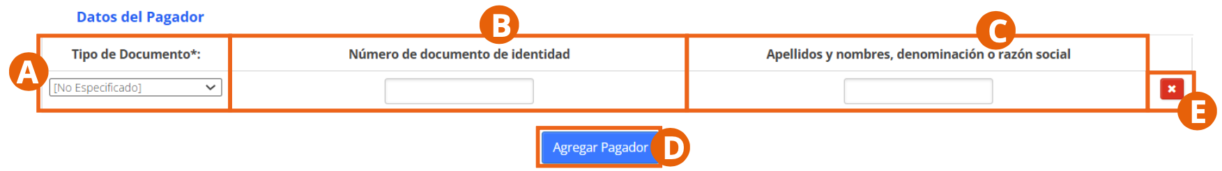 Sección Datos del Pagador cuando el pagador del flete es un tercero