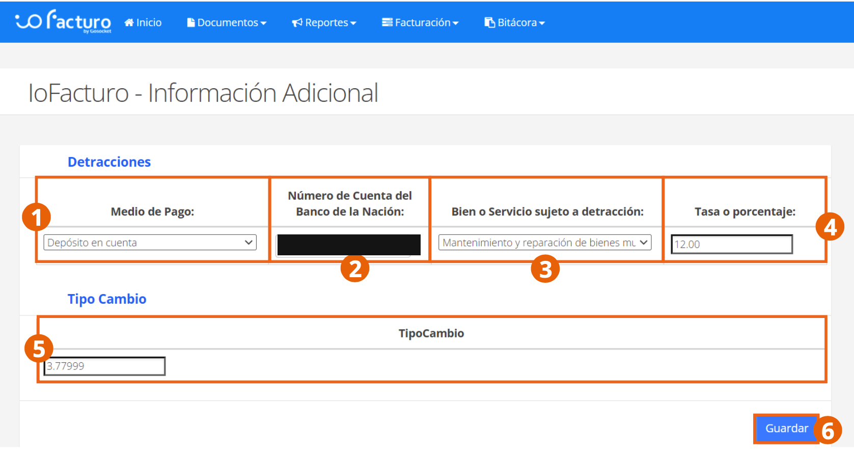 Pantalla de Información Adicional con Detracciones y Tipo Cambio