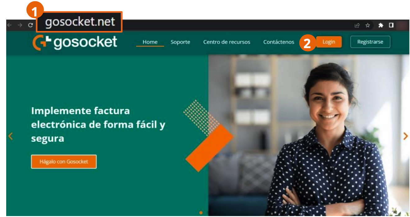 Página de inicio de Gosocket