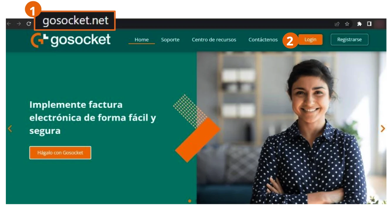 Página de inicio de Gosocket