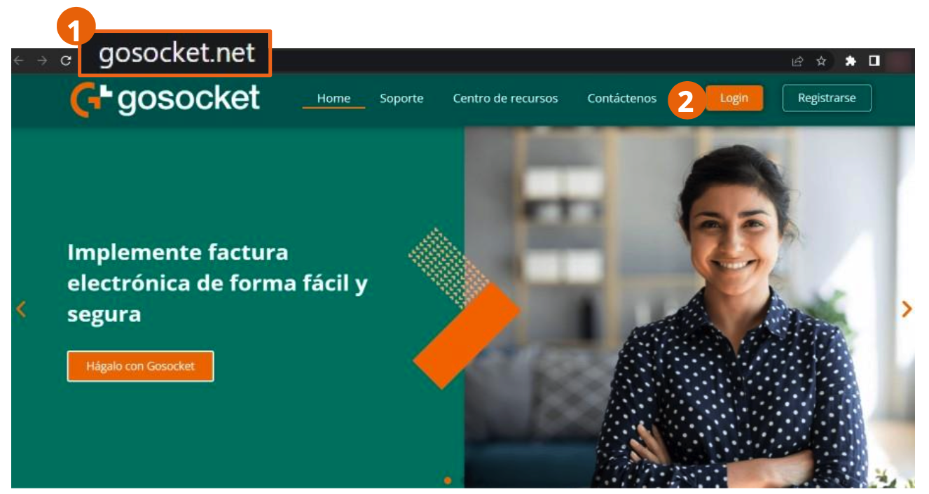 Página de inicio de Gosocket