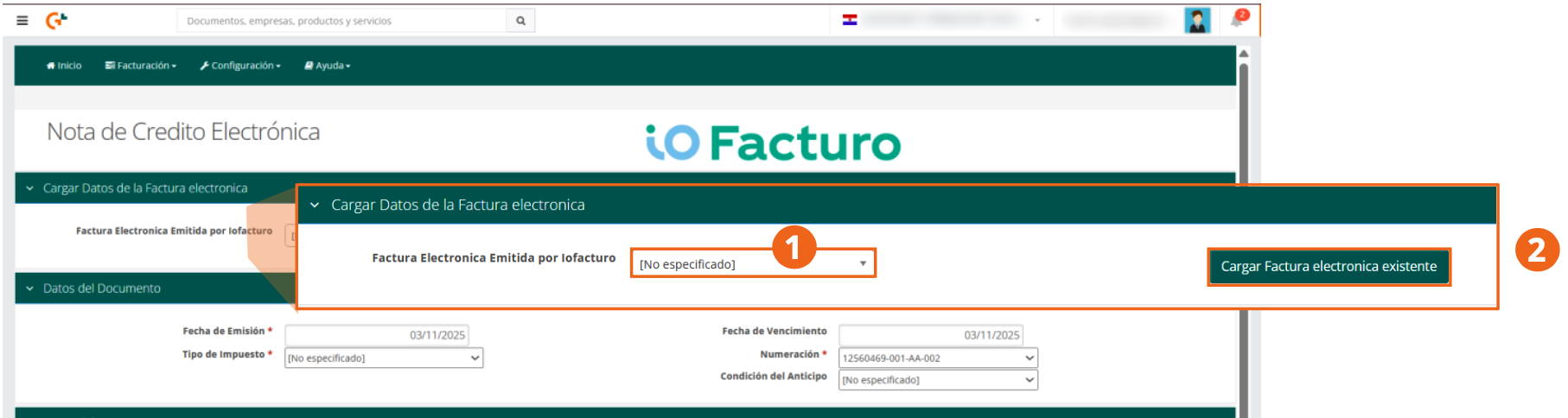 Load Electronic Invoice Data section with the selector and the Load Existing Electronic Invoice button