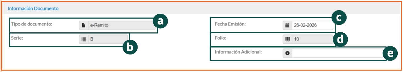 Document Information section of the e-Remittance and e-Receipt issuance form