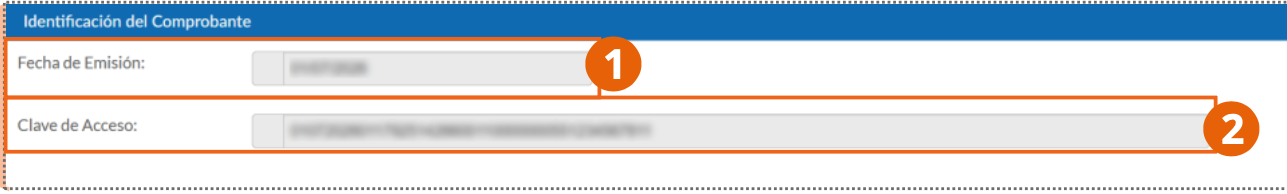 Voucher Identification section with issuance date and access key