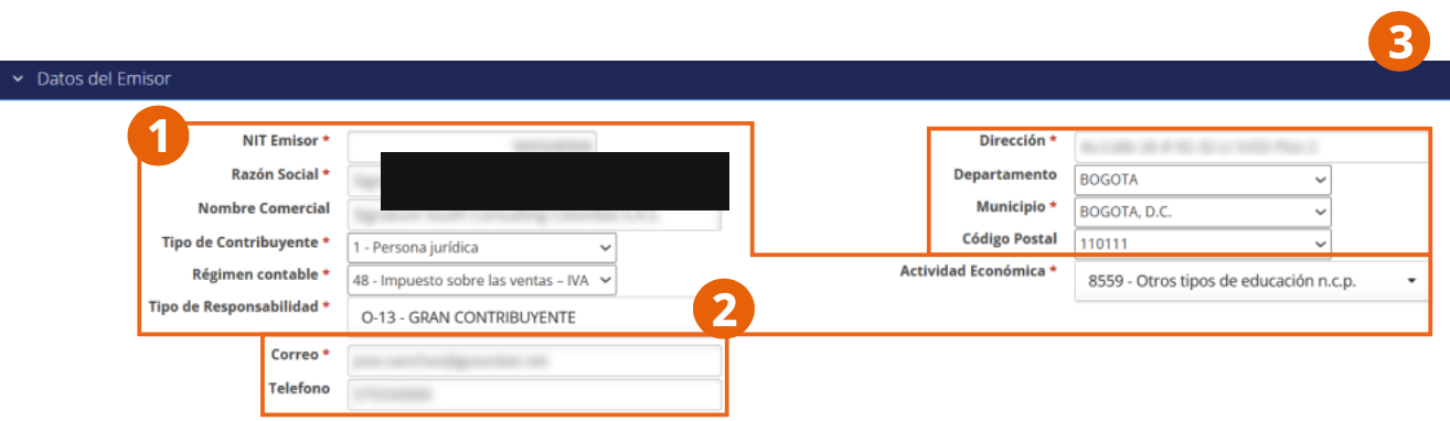 Issuer Data section of the issuance form