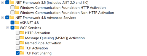 .NET Framework 4.8 Advanced standard configuration