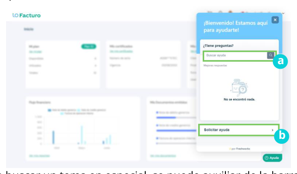 Help panel of the invoicing tool